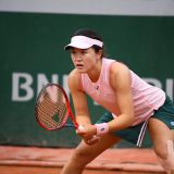 Lin Zhu
